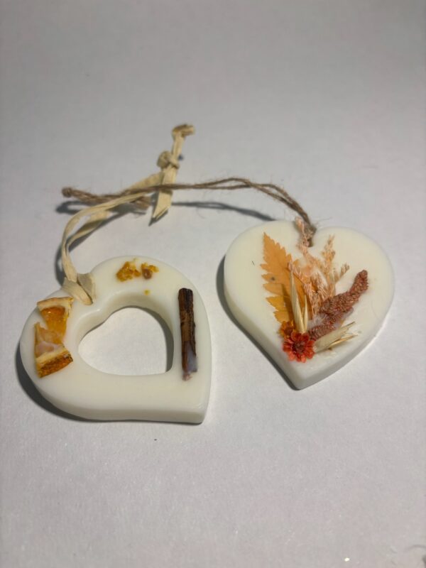 AROMATIZADORES PACK 2 UNIDADES - Imagen 6